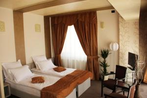 4 star pansion Enigma Pension Târgu Jiu Rumeenia