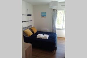 Appartements Appartement 35 m2 , climatise, a 400m des plages : photos des chambres