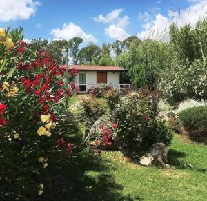 Oasi di Francesca B&B