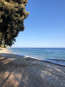 Ανεμπόδιστη Θέα με Κήπο και Πισίνα