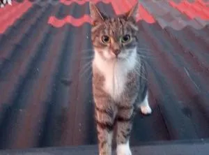 Ferienwohnung Eddi - Neumark