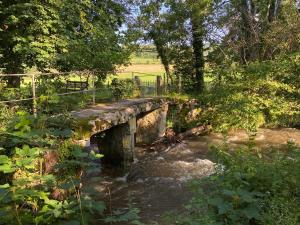 B&B / Chambres d'hotes Domaine en Reynouse : photos des chambres