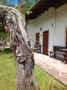 Baita cavalese giardino esclusivo
