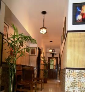 House of Comfort Noida