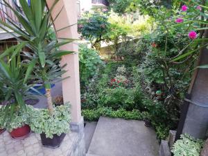 Sokobanja apartman Aviva