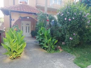 Sokobanja apartman Aviva