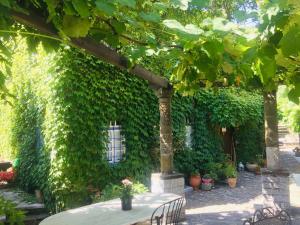 Saxonis Houses & Saxonis Villa