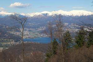 Hotel Vittoria APPARTAMENTI
