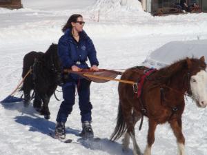 Chalets Chalet Clementine : photos des chambres