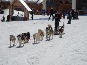 Chalets Chalet Clementine : photos des chambres