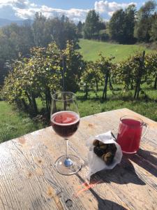 Weinberg Apartment (ehm. Glanzerhof)