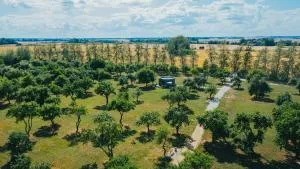 Guest house Lilac in apple tree park - Joniškis