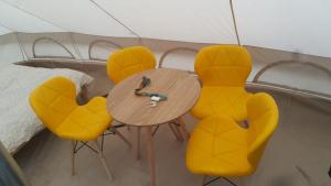 Glamping z alpakami