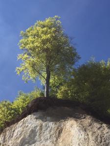 Strandapartment Kapitän Prora Binz