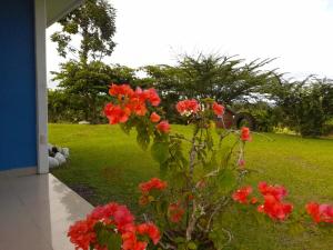 Casa de Campo Heliconia