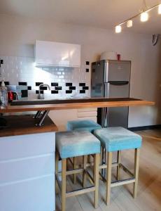 Appartements Tres bel appartement face au lac de Bozel : photos des chambres