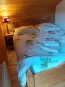 Chalets Chalet Elisa : photos des chambres