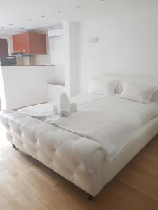 Ritmului Mega Mall Studio