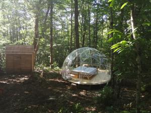 Tentes de luxe bulle sous les etoiles : Tente