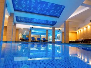 Kopaonik Milmari Spa and Wellness Wooden Horn S21