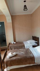 Teo Guesthouse and Camping in Mestia