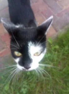 Ferienwohnung Rickyy - Netzschkau