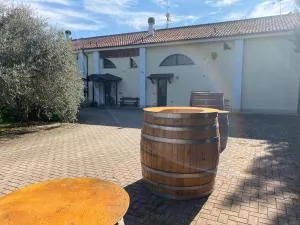 Agriturismo San Michele - Conventello