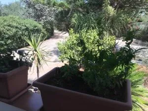 A casa dei Fenici - Spano