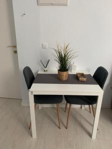 Caleta Dreams. Apartamento a estrenar. A 60 metros Playa