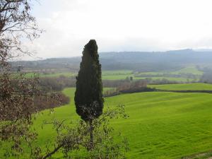 Poggio Cantarello Country Home - Tuscany