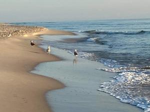 NAJBLIŻEJ MORZA Jastarnia dom całoroczny
