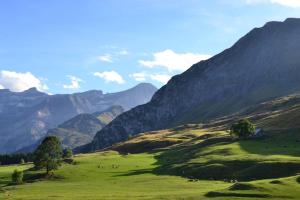 Appartements Villa Nostra : photos des chambres