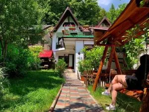 Casa Olanesti - Pietrişu