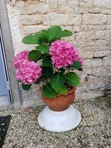 B&B / Chambres d'hotes Bed and Breakfast Dunroamin : photos des chambres