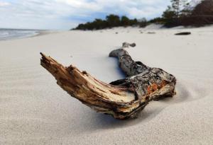 NAJBLIŻEJ MORZA Jastarnia dom całoroczny