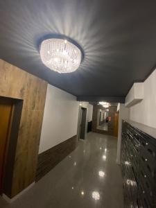 Apartament 87