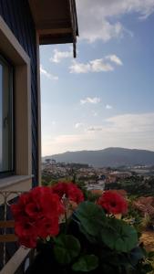 Casa da Zéfinha, em Cinfães, no Douro