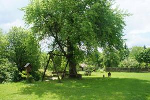 Agroturystyka Ropienka