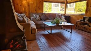 Vista al volcán con tinaja y río en Conguillío