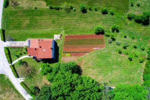 Apartment Bruno - spacious yard