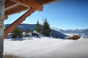 Chalets Chalet Polanka - OVO Network : photos des chambres