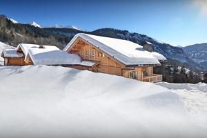 Chalets Chalet Polanka - OVO Network : photos des chambres