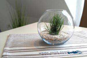 Ferienwohnung-Landoase-Strandnaehe