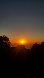 Villa Unica - Appartamenti Alba e Tramonto img21