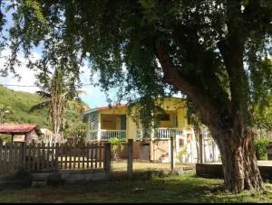 Kactus-Kréyol - Quartier du Fond Fleuri