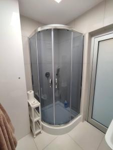 APARTAMENT PRZY PARKU ŚRÓDMIEŚCIE