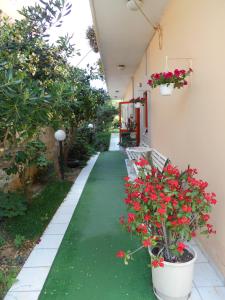 Ilona Apartments Chania Chania Greece