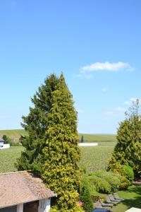 B&B / Chambres d'hotes La Villa Champagne Ployez-Jacquemart : photos des chambres