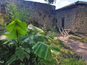 Appartements La Batie : photos des chambres