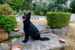 Maisons de vacances Le Clos de Bagalance : photos des chambres